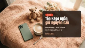 Kí Tự Đặc Biệt Hago — 60 Tên Ngắn Đẹp Có Dấu 2026